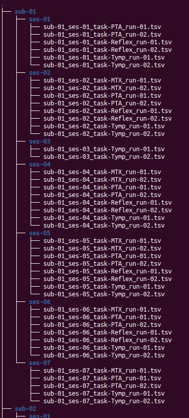 fortier_project_BIDS_structure.png