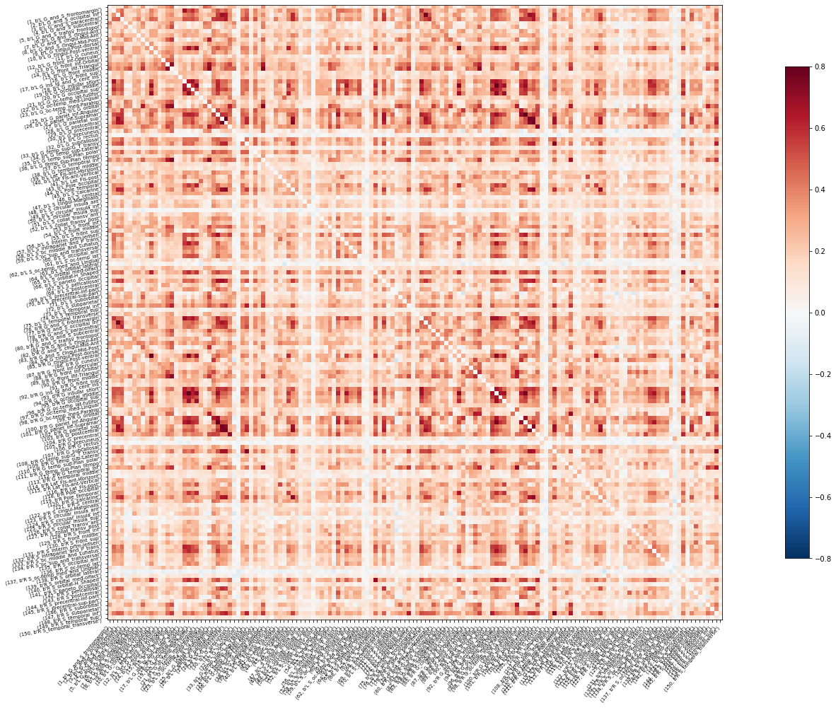 fMRI_example_matrix