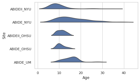 Age Distribution 2